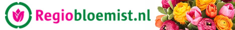 Regiobloemist